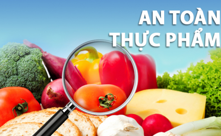 Giải pháp nâng cao chất lượng vệ sinh an toàn thực phẩm đối với hàng nông sản xuất khẩu của Việt Nam