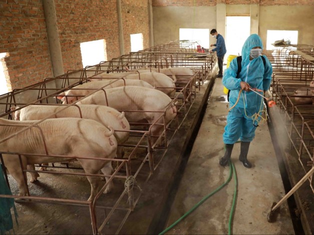 Khuyến cáo một số giải pháp đảm bảo vệ sinh, an toàn thực phẩm trong nông nghiệp