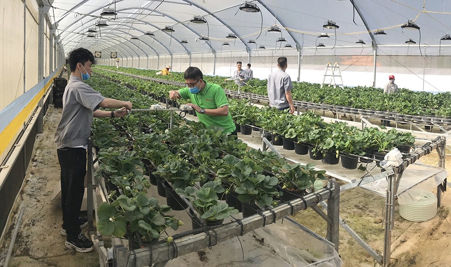Nghiên cứu khoa học, công nghệ trong nông nghiệp