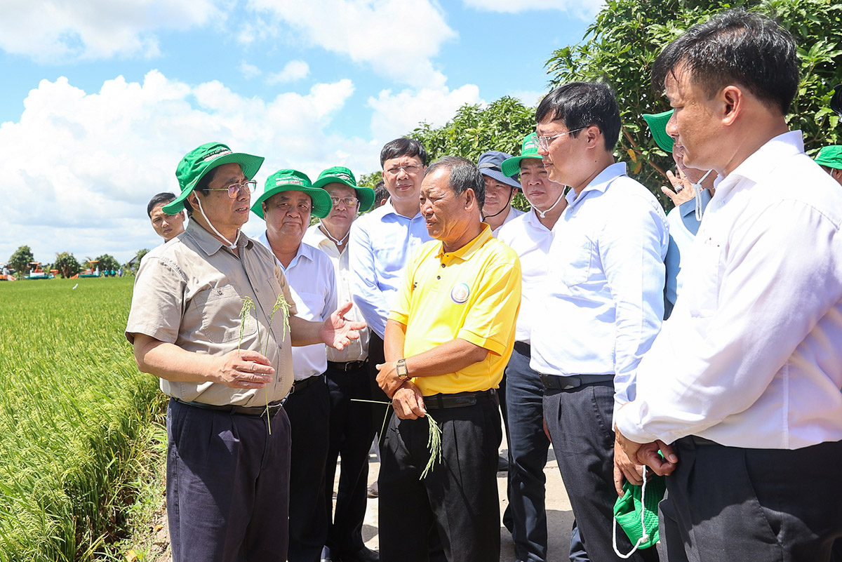 Vị thế nông nghiệp Việt Nam sau gần 40 năm tiến hành công cuộc đổi mới