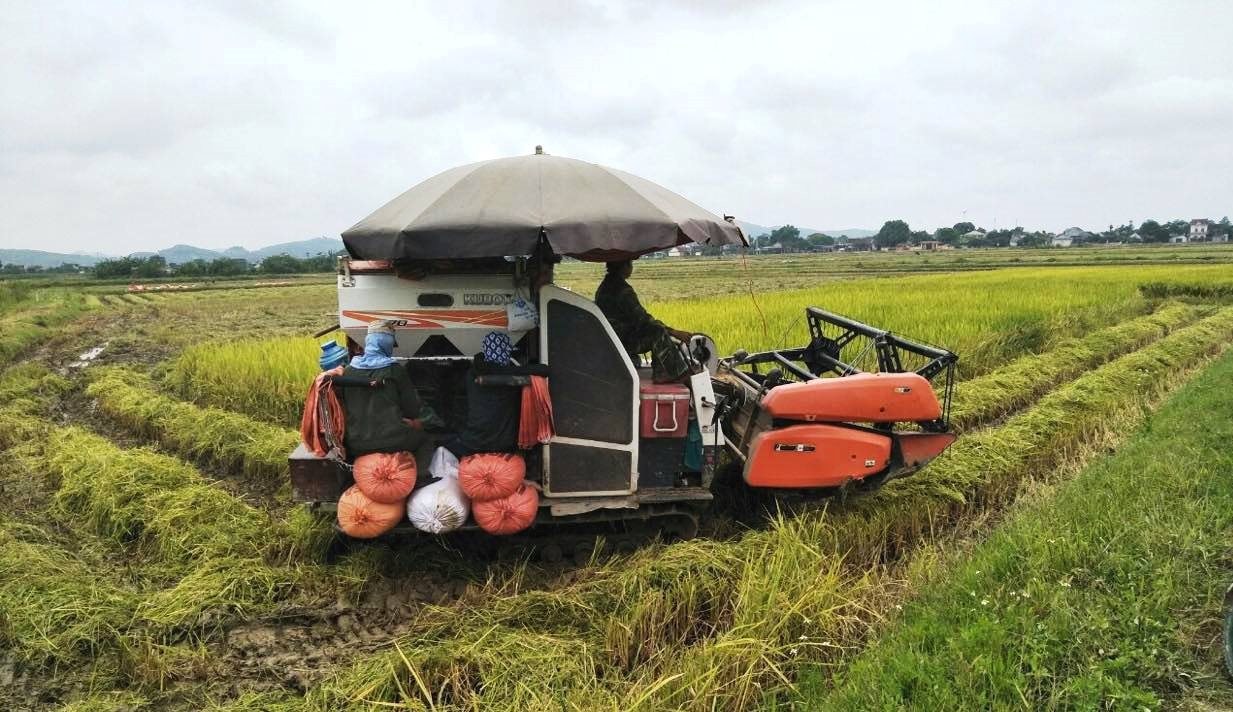 Những bước chuyển lớn về nông lâm nghiệp của ASEAN và 3 nước đối tác khu vực